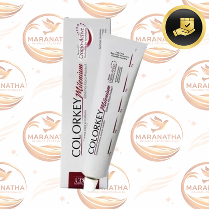 Tinta Cabello Silkey Mundial Colorkey Milenium Tono 12 Gris Plata 120ml