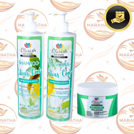 Pack Shampoo Sin Sal + Acond Limpieza Profunda + Alisado S/f