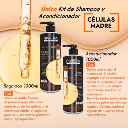 Shampoo Sin Sal Celulas Madre Reparacion Capilar 1lt