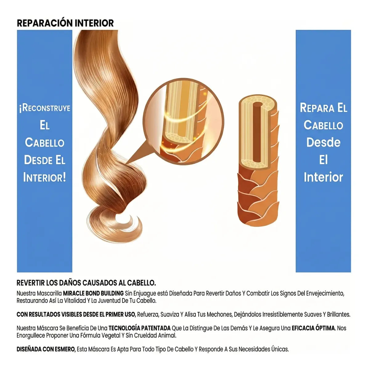 Shampoo Rebond 946ml Profesional Reconstruccion Capilar