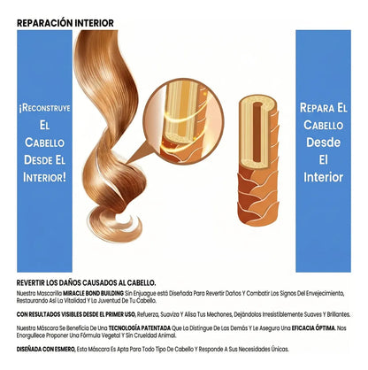 Shampoo Rebond 946ml Profesional Reconstruccion Capilar